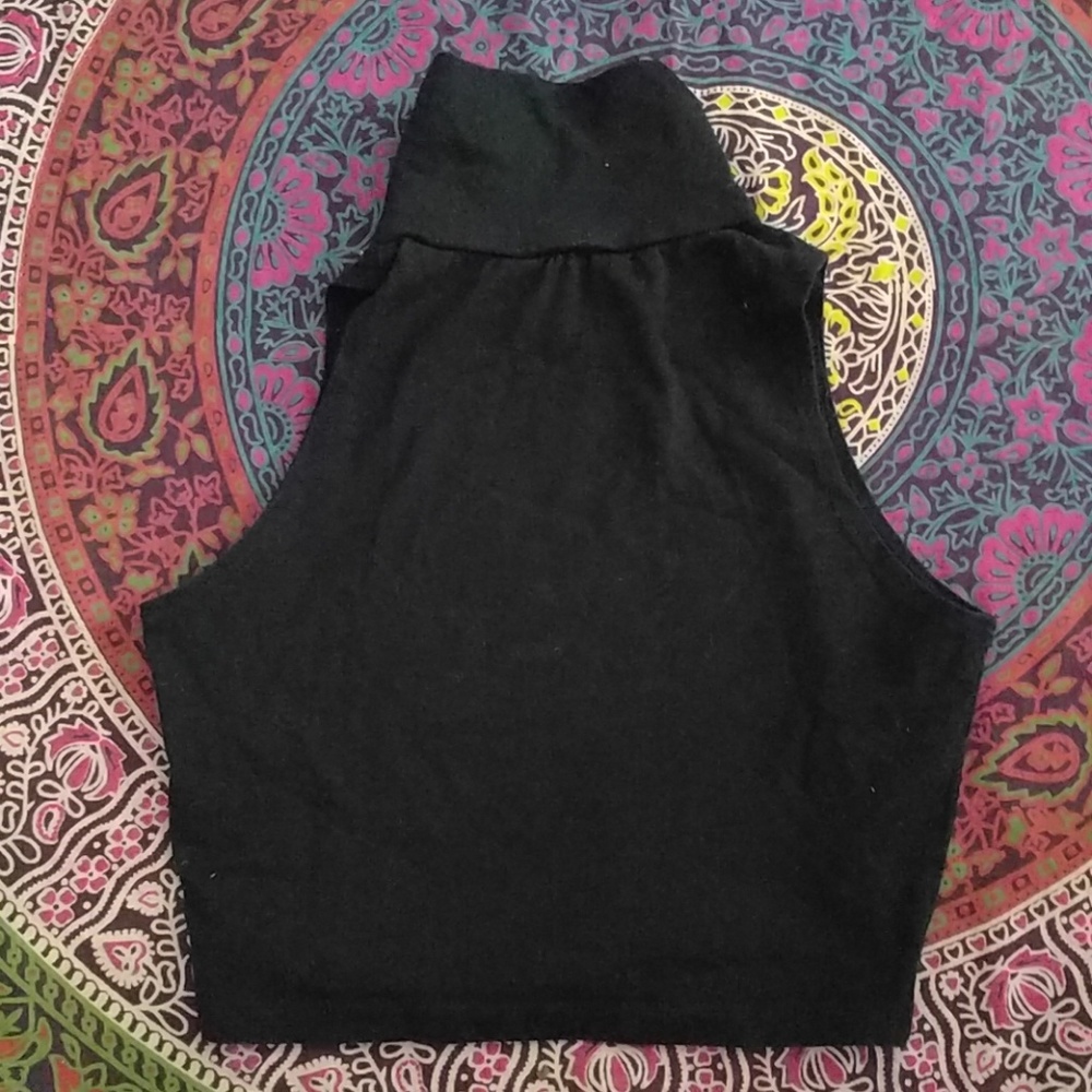 Crop turtleneck